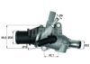 FIAT 46550159 Thermostat, coolant